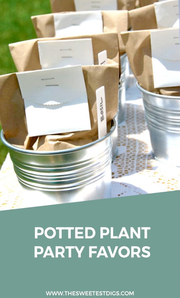 How To Make Plant Seed Party Favors The Sweetest Digs