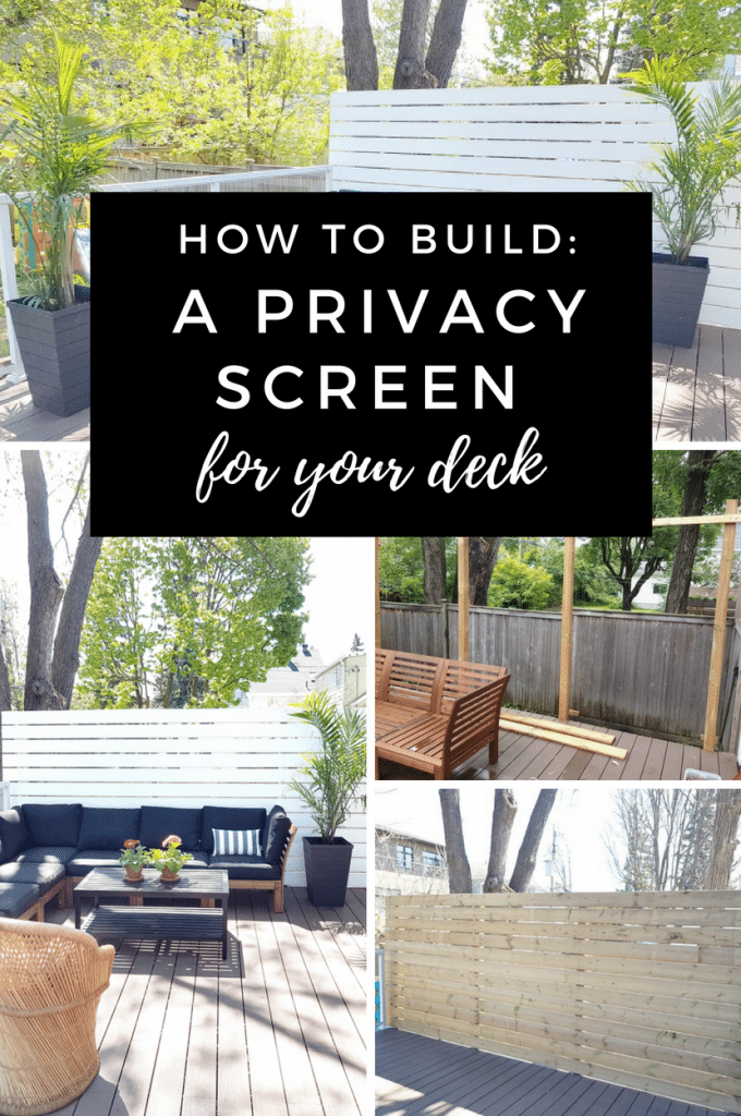 Build a Privacy Screen