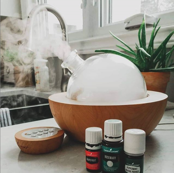 15 Top Essential Oils For Winter And 10 DIY Diffuser Recipes - Mama Bear  Wooten