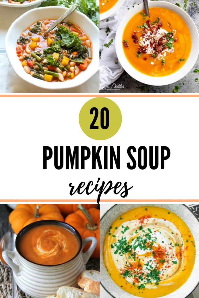 20 Pumpkin Soup Recipes You'll Love - THE SWEETEST DIGS