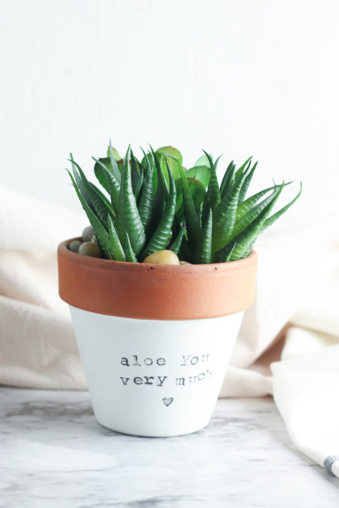 Make This Adorable Painted Terracotta Pot THE SWEETEST DIGS   Painted Terracotta Pot Diy Project Aloe Succulent 7 683x1024 